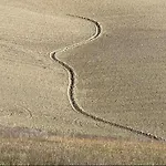 In Toscana *