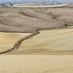 In Toscana * Monteroni d'Arbia