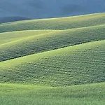 In Toscana Monteroni d'Arbia