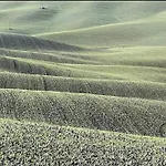 In Toscana Villa Monteroni d'Arbia