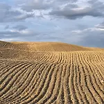 In Toscana Monteroni d'Arbia