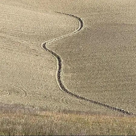 In Toscana *