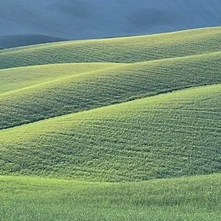 In Toscana Monteroni dʼArbia