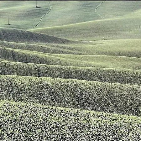 In Toscana Villa Monteroni dʼArbia