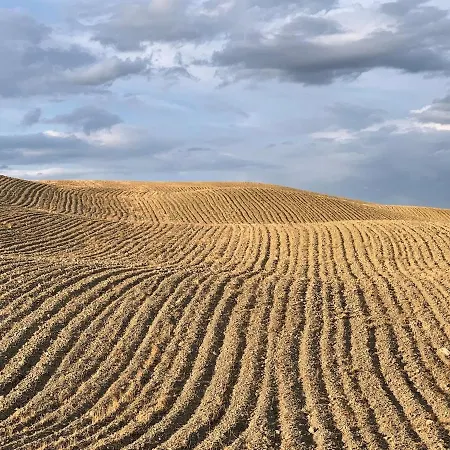 In Toscana Monteroni dʼArbia